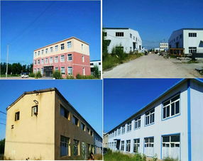 遼寧省阜新市彰武縣興工路八處房產和林產品產業(yè)園區(qū)內土地使用權 二次
