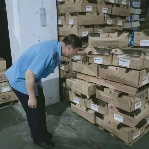 九原區(qū)市場監(jiān)督管理局強(qiáng)化食品流通監(jiān)管，專項(xiàng)檢查日用雜品批發(fā)環(huán)節(jié)